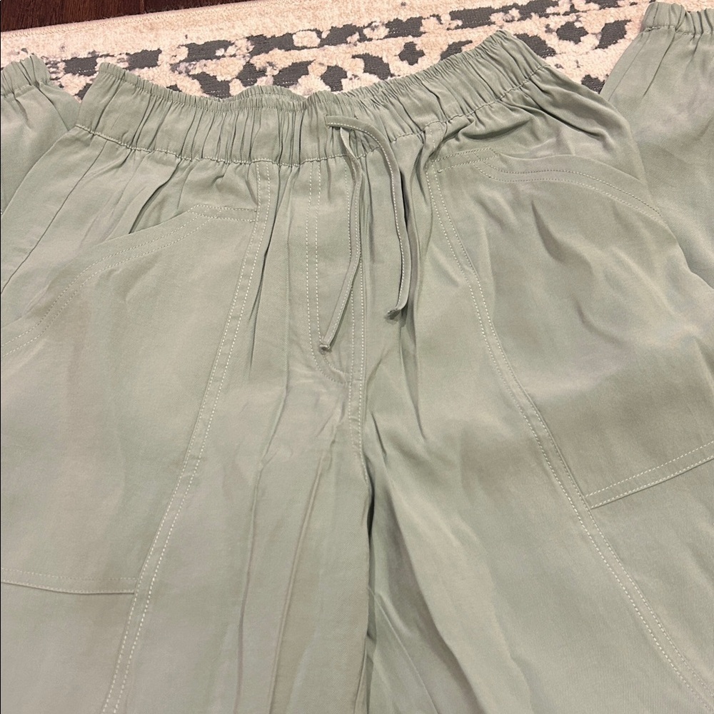 NWT Abercrombie and Fitch Sage Green Joggers - Picture 7 of 9